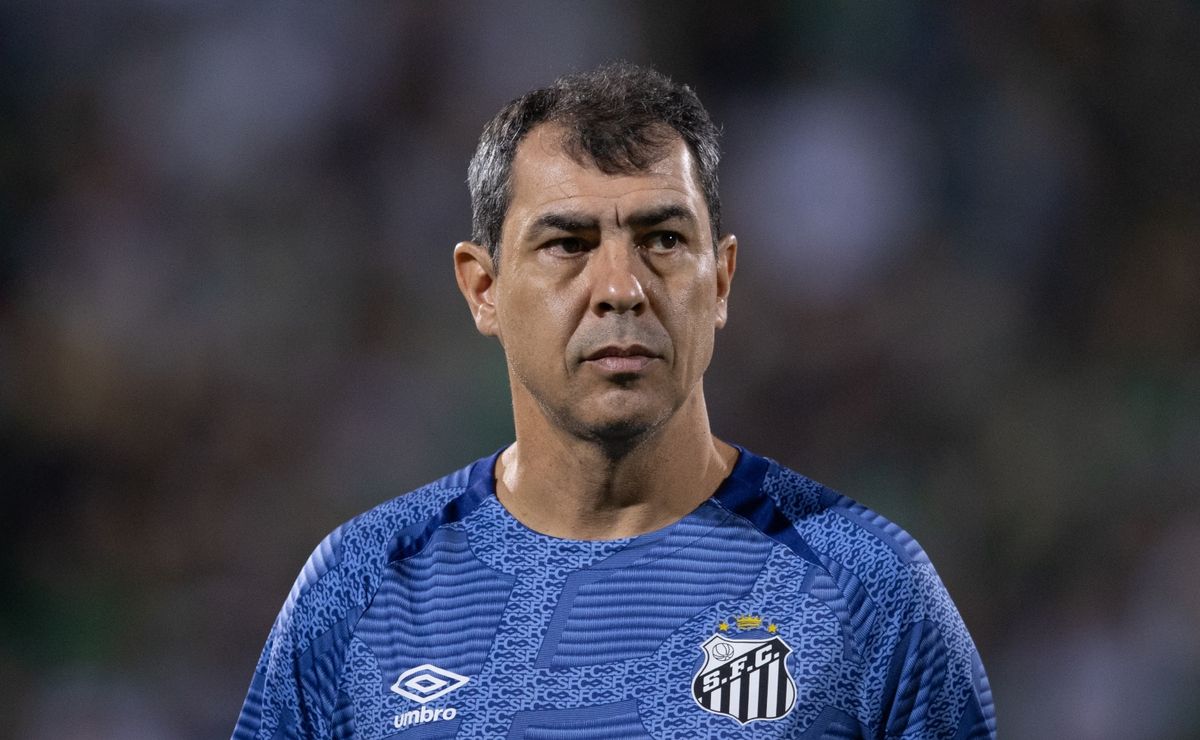 carille faz forte desabafo e revela se continuará no santos em 2025: "ambiente externo"