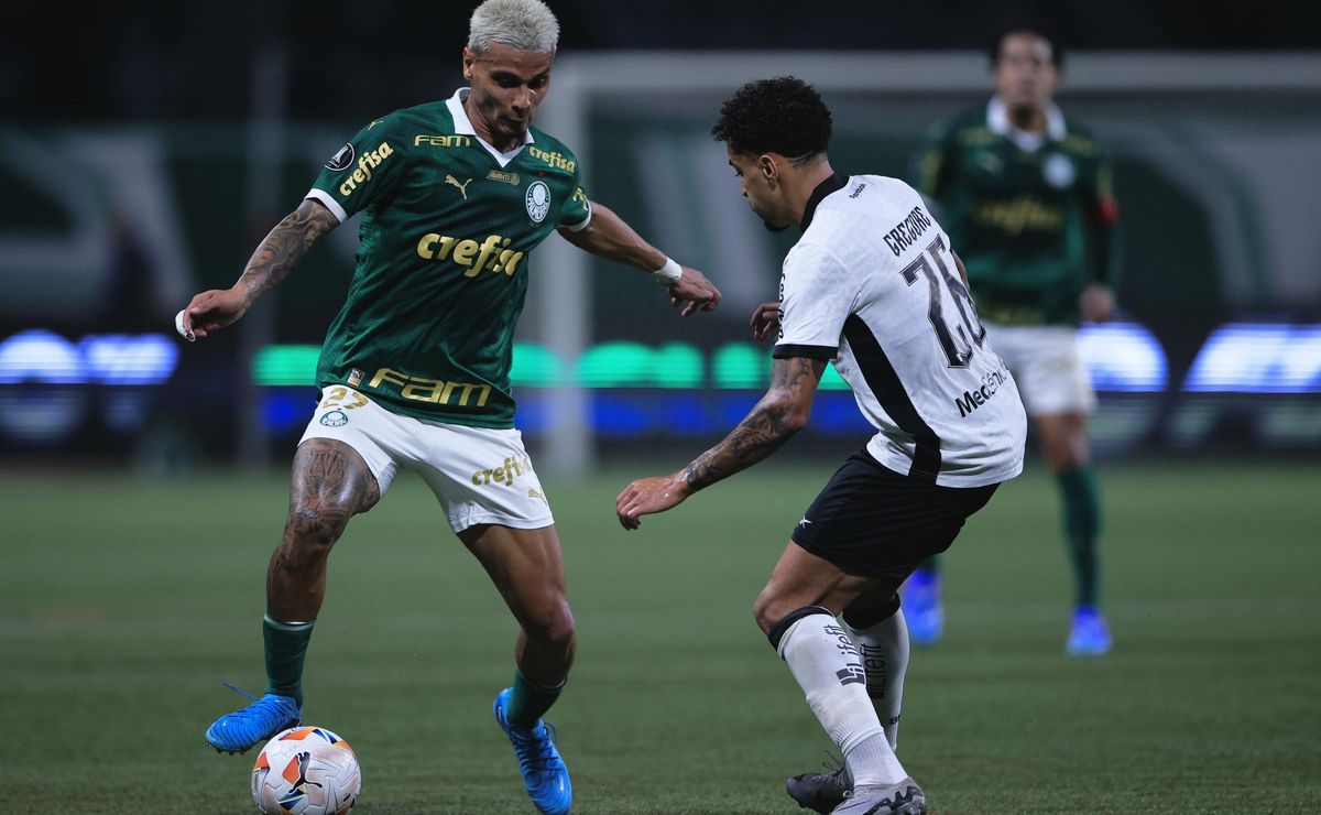 brasileirão betano: palmeiras x botafogo – onde assistir, horário, escalações do jogo, arbitragem e informações principais