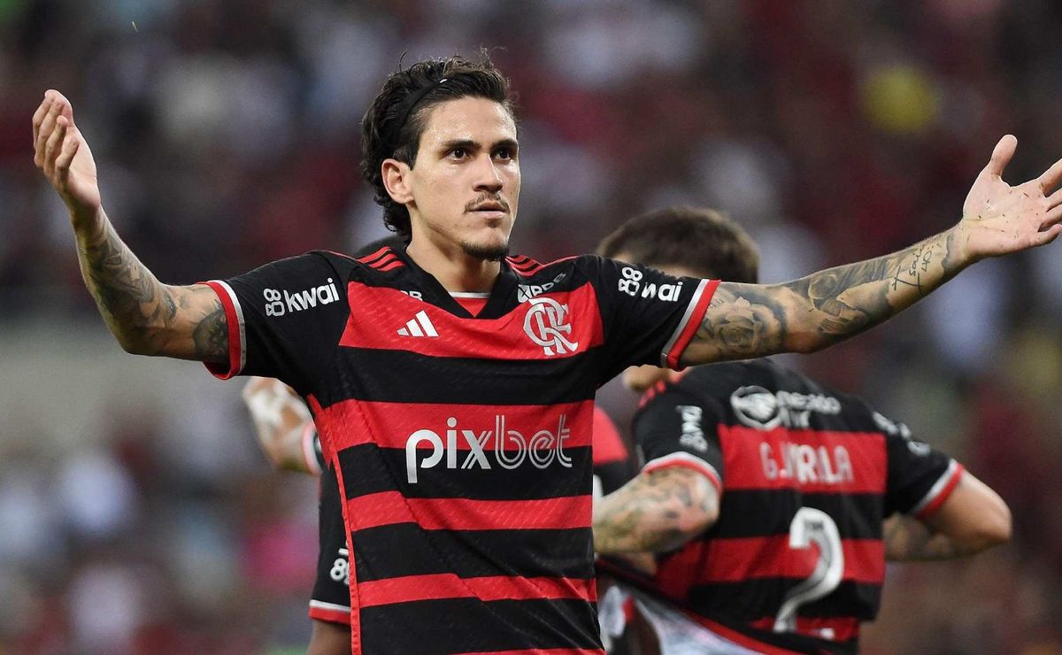 palpite flamengo x atlético mg – brasileirão – 13/11/2024