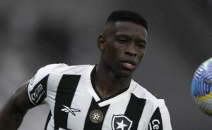 veja o que botafogo precisa para ser campeão do brasileirão antes da decisão da libertadores