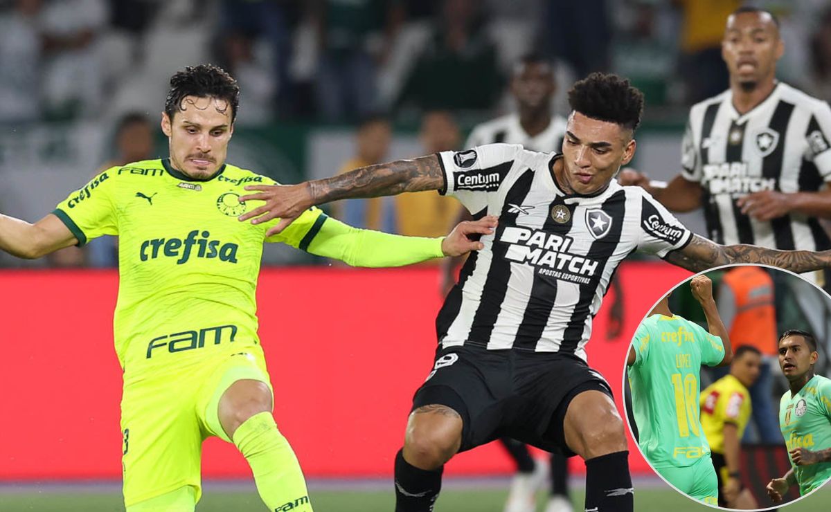 vidente crava vitória em palmeiras x botafogo e definição do brasileirão: "energias estão melhores"