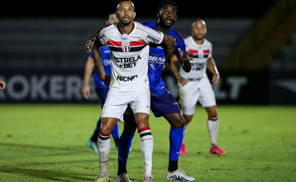 palpite botafogo sp x avaí – série b – 18/11/2024