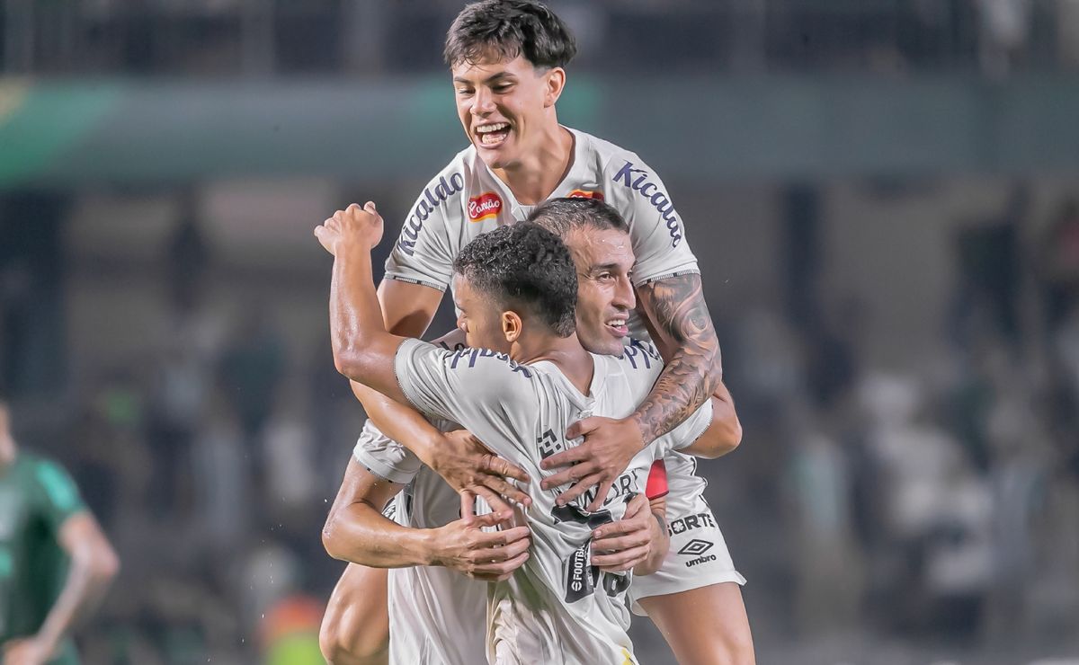 santos é campeão da série b sem entrar em campo após tropeço do novorizontino