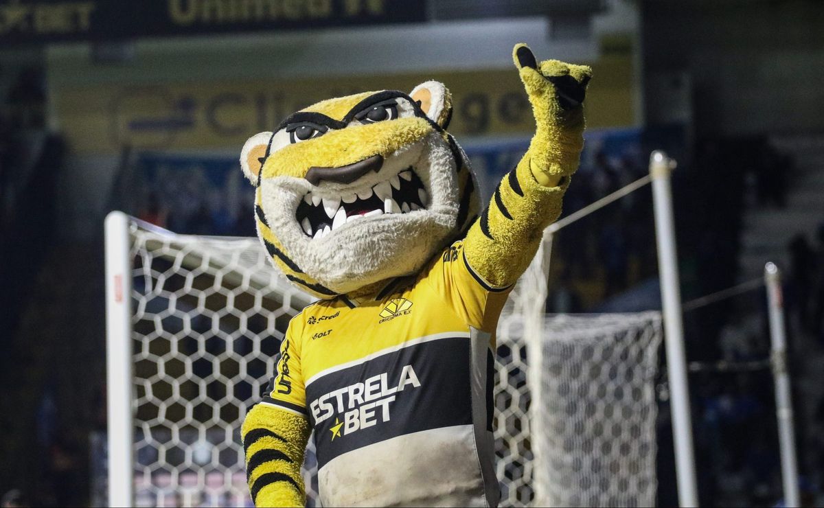 mascote do criciúma provoca jogadores do corinthians e lance estará na súmula de daronco