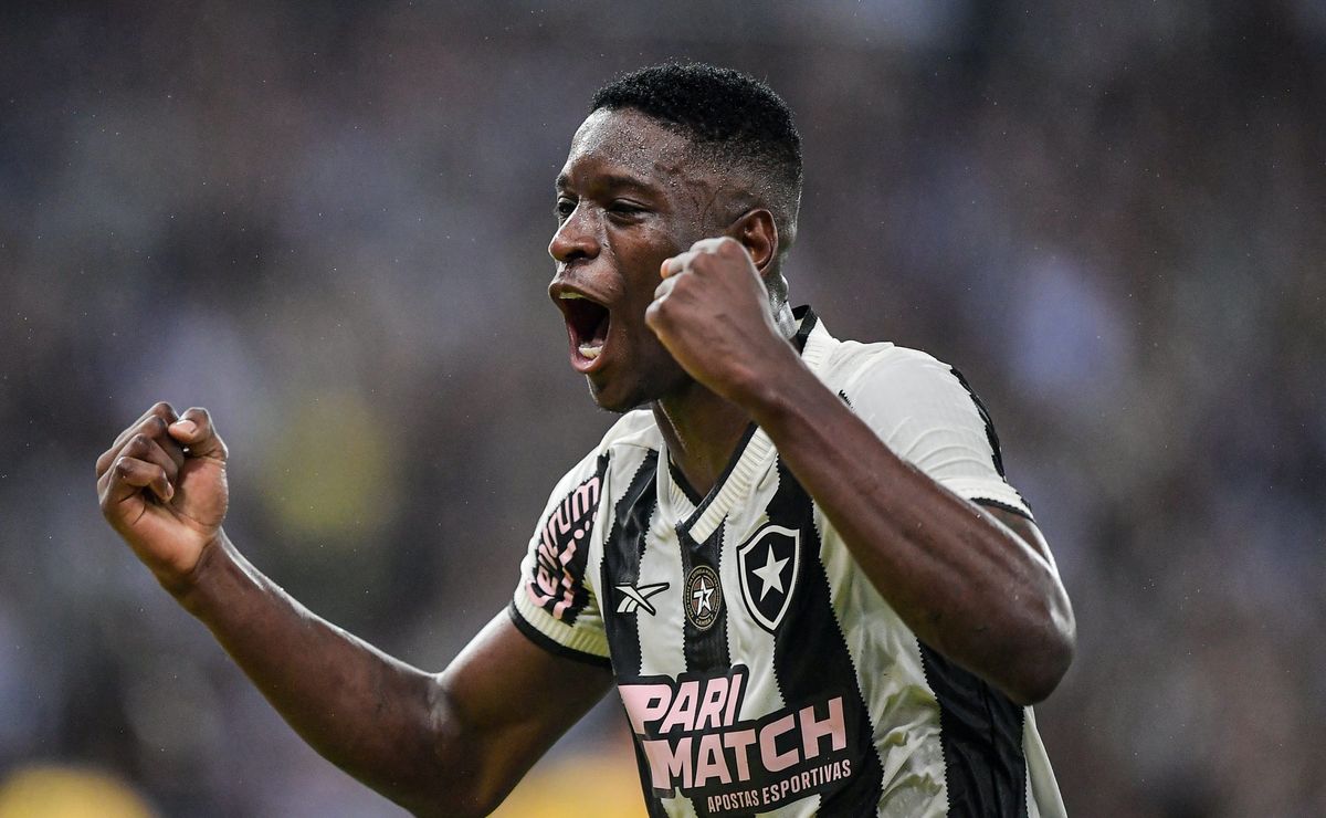 torcedor apaixonado pelo botafogo de luiz henrique revela a sensação para final da libertadores: "muito especial"