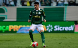 palpite bahia x palmeiras – brasileirão – 20/11/2024