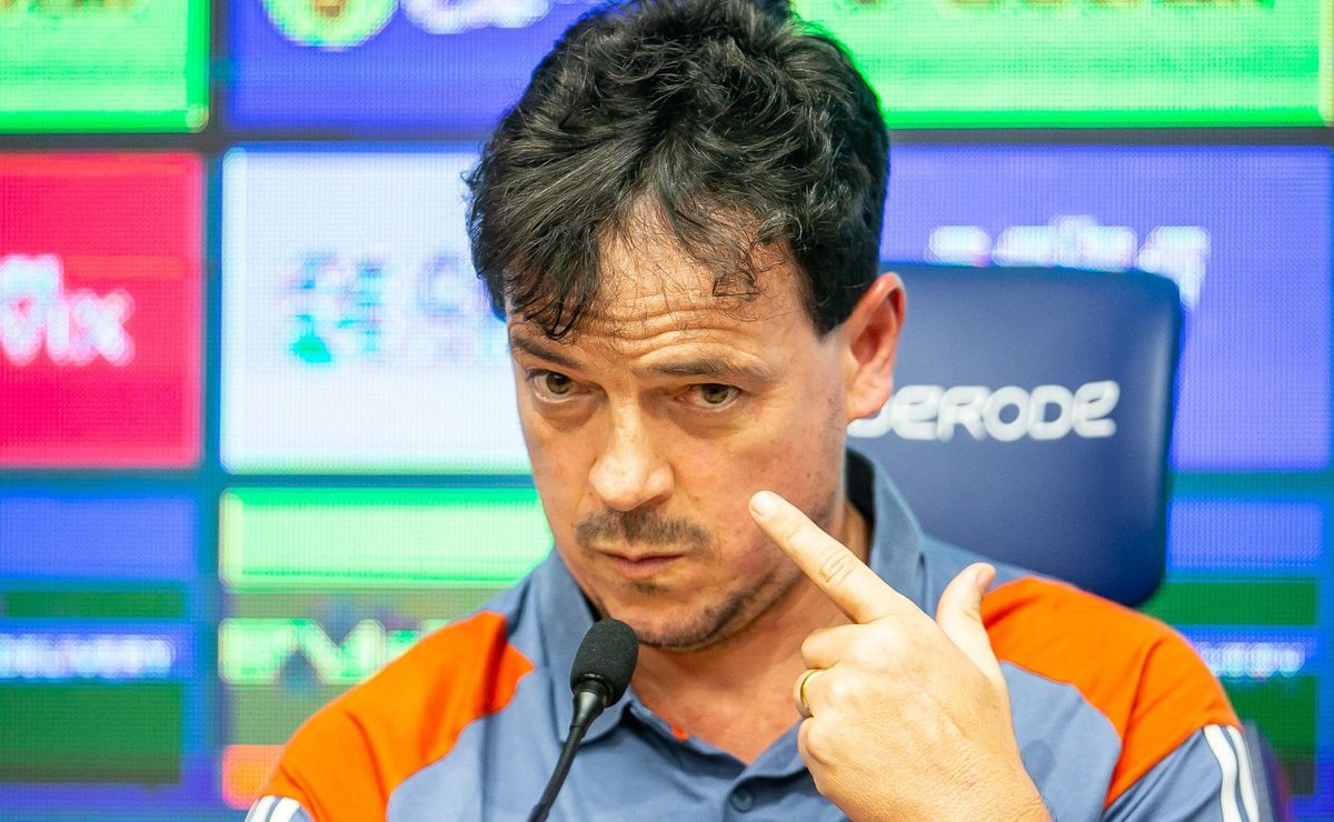 fernando diniz faz apelo à cbf antes cruzeiro x palmeiras pelo brasileirão: “precisamos”