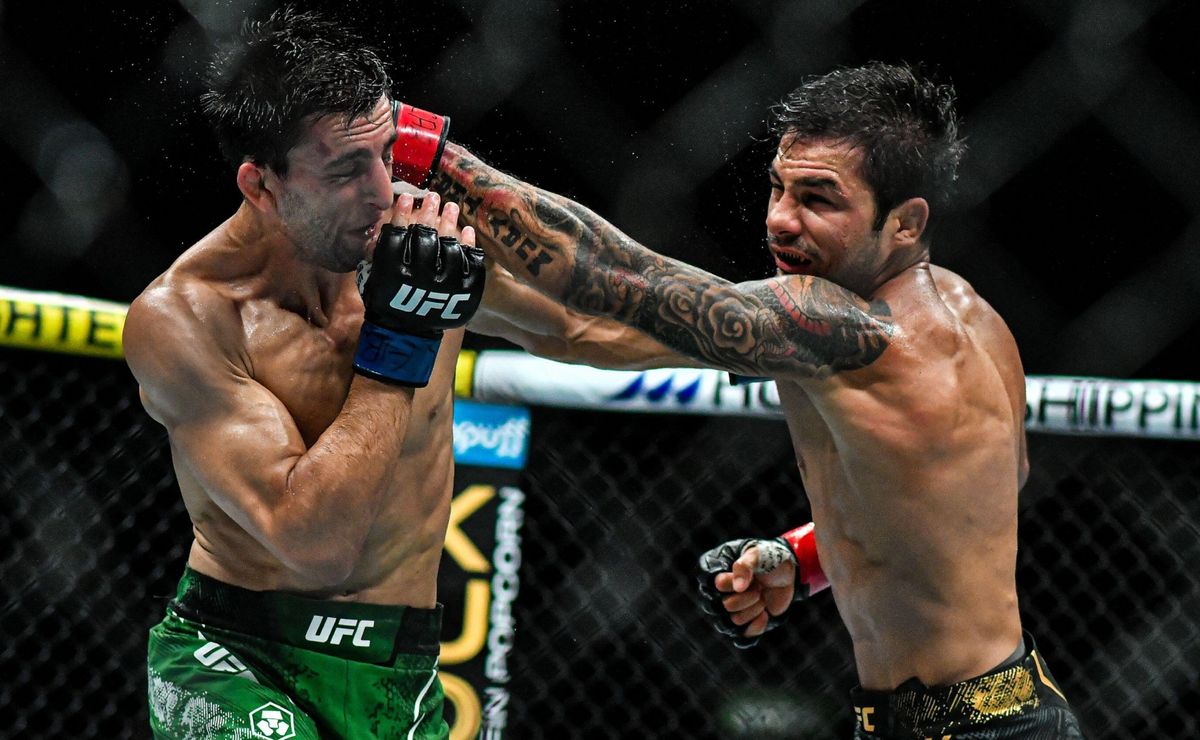 ufc 310: odds, horário e onde assistir à luta de pantoja x asakura