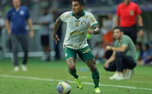 palpite palmeiras x fluminense – brasileirão – 08/12/2024