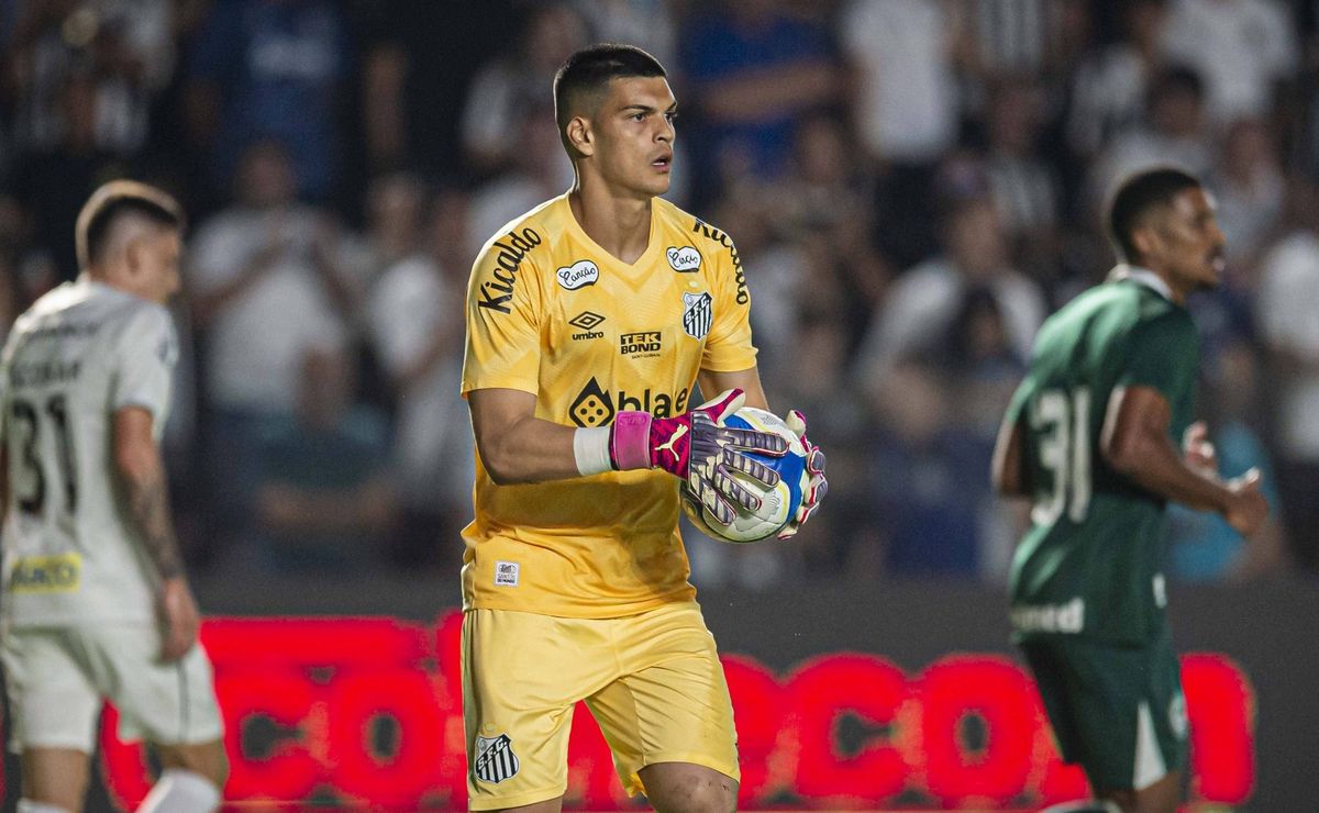 após renovação com o santos, gabriel brazão tem atualização de torino e grupo de textor 