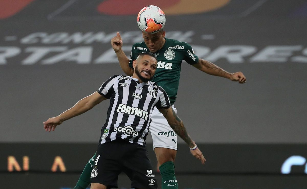 palmeiras e santos se enfrentam no clássico da saudade; veja os números