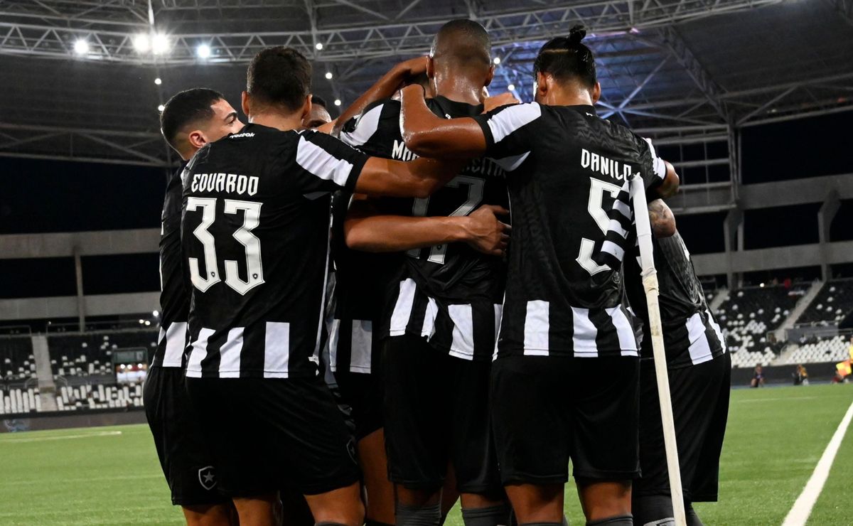 palpite botafogo x portuguesa – campeonato carioca – 14/01/2025