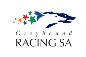 greyhound racing nsw names steve griffin as ceo