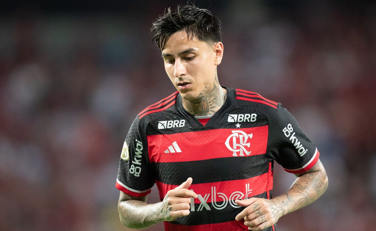 erick pulgar terá maior salário da carreira em possível renovação com o flamengo e valor foi divulgado
