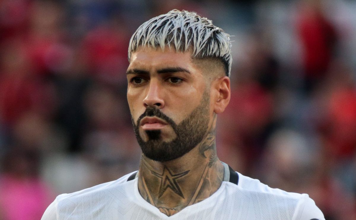 botafogo recorre e tjd rj limita suspensões ao campeonato carioca