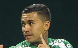 dudu entra na campanha contra grama sintética e palmeiras faz comunicado oficial: “certificado pela fifa”