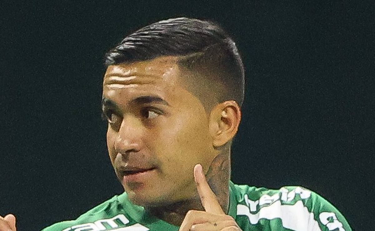 dudu entra na campanha contra grama sintética e palmeiras faz comunicado oficial: “certificado pela fifa”