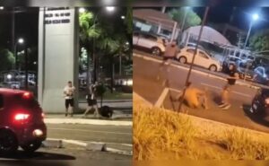 confusão entre torcedores de flamengo e botafogo antecede a supercopa do brasil