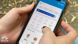 mercado pago permitirá invertir dólares a través de su aplicación móvil