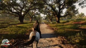 los videojuegos: ¿una nueva forma de arte en el siglo xxi?