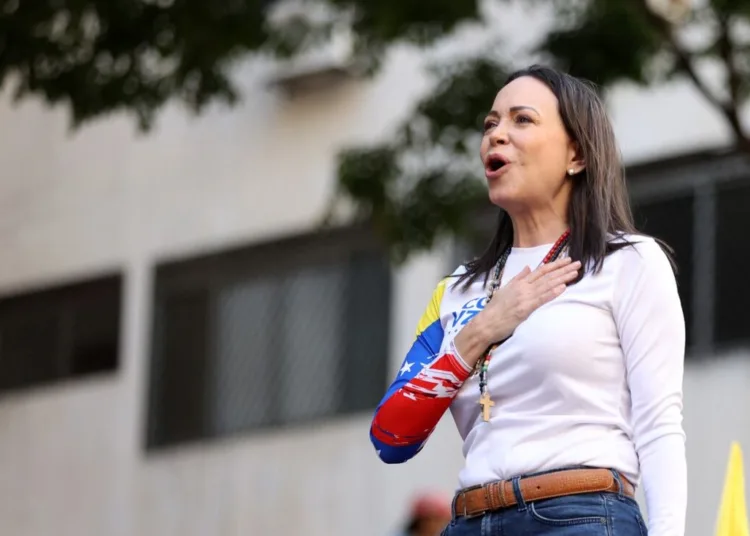 autoridades do nobel da paz investigam apostas suspeitas antes do anúncio de vencedora