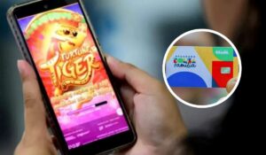 stf ja havia determinado suspendido o uso de bets por beneficiarios de programas sociais