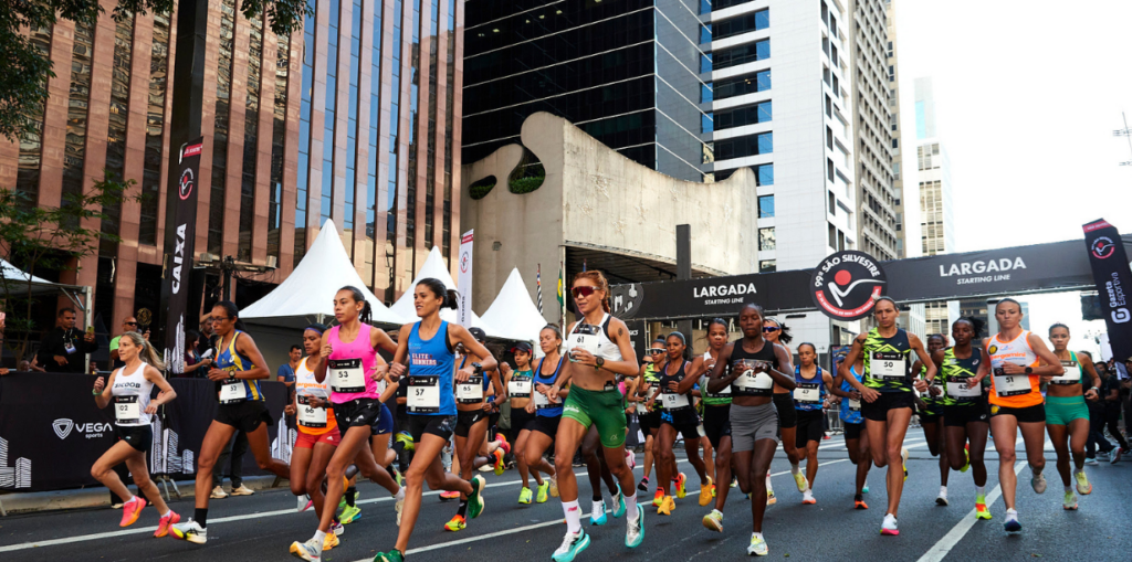 o fã e o fanático: um desafio para as marcas esportivas