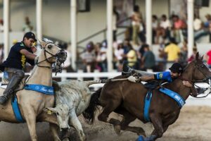 futebol sergipano: plataforma de apostas anuncia patrocínio ao itabaiana