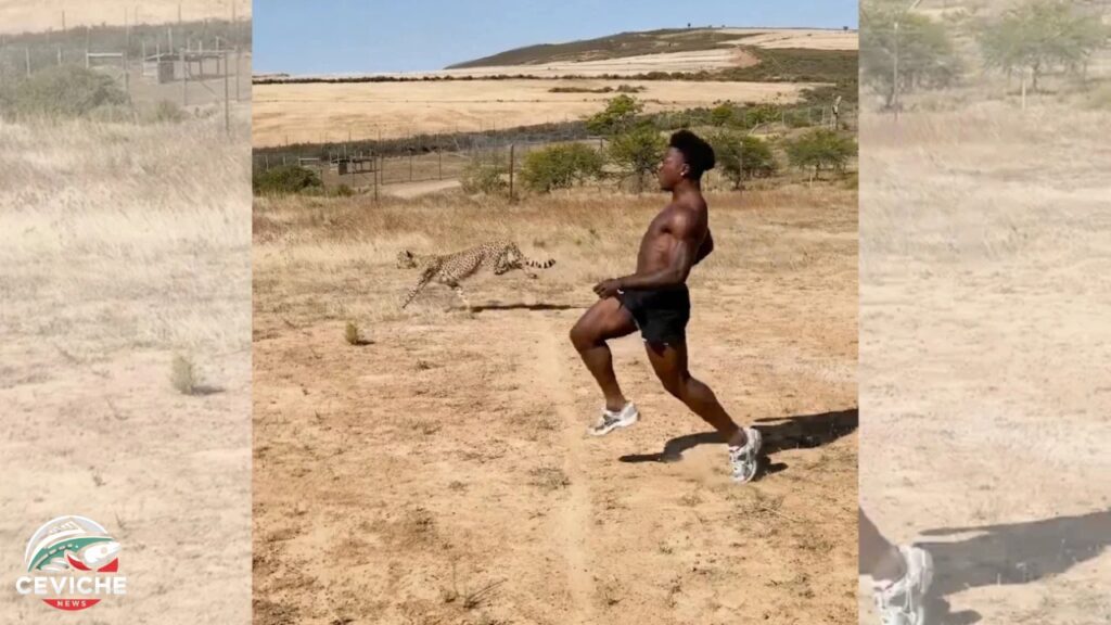 ishowspeed corre contra un guepardo en África y se vuelve viral: ¿como le fue?