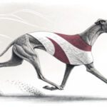 new south wales grants to raise gambling harm awareness among aboriginal youth