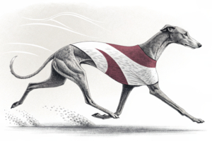 new south wales grants to raise gambling harm awareness among aboriginal youth