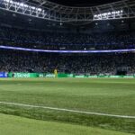 thiago de rose: futebol gera rentabilidade suficiente para afastar necessidade de gramado sintético