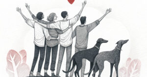 sydney national greyhound adoption day sets new record