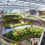 amnesty international alleges cambodian casinos linked to scams and human rights abuse