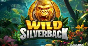 booming games lança wild silverback