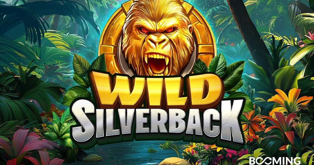 booming games lança wild silverback